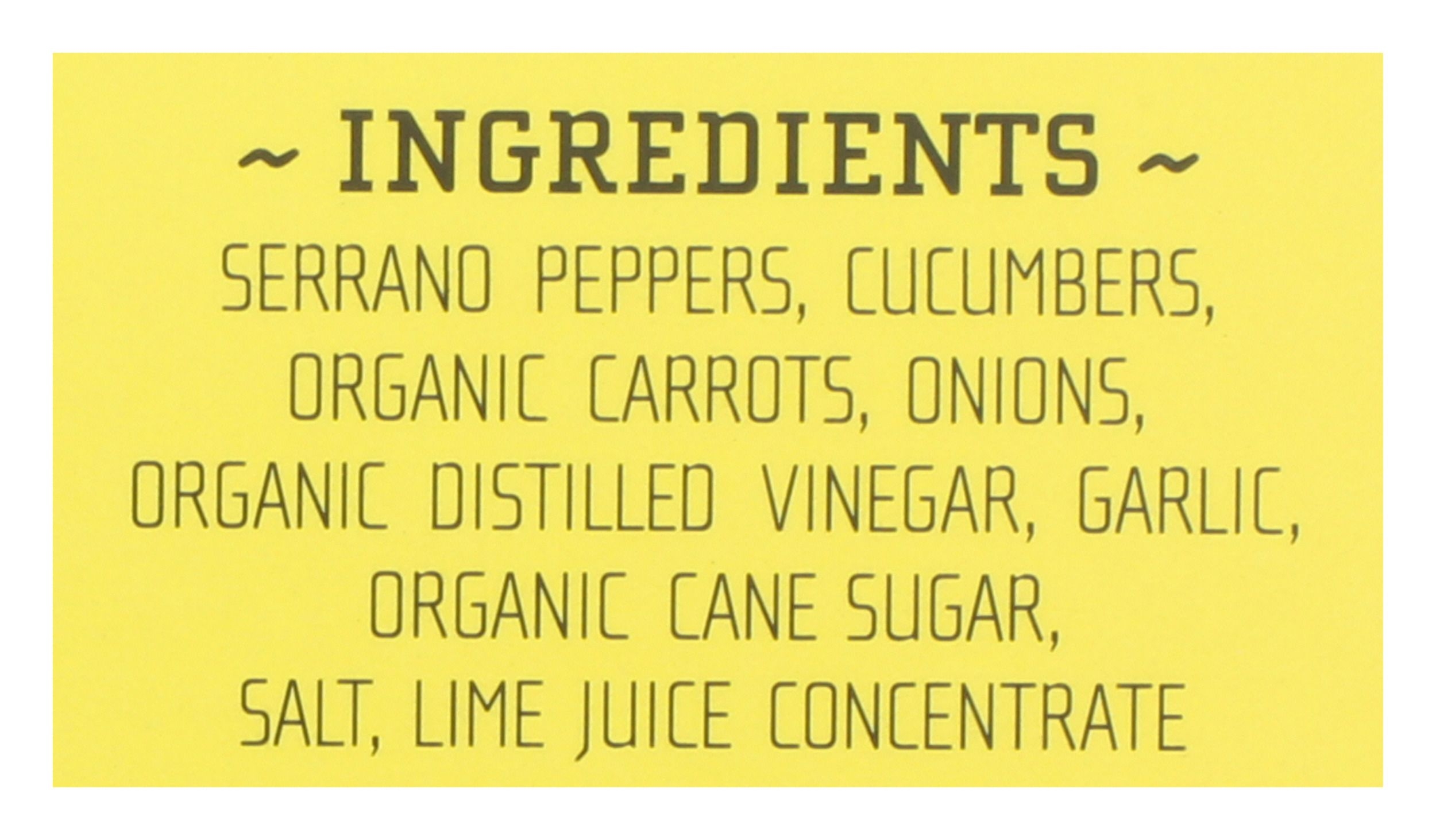 YoFiit Vanilla Cinnamon Chickpea Milk, 32 Fluid Ounce -- 12 per case