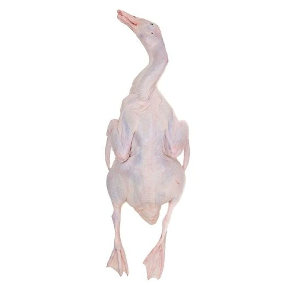 Woodland Farms Head On Feet On Duck, 6 Pound -- 6 per case