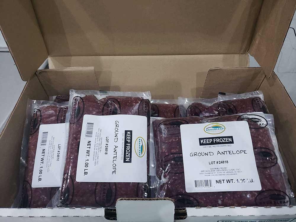 Nilgai Antelope Ground Antelope, 10 Pound