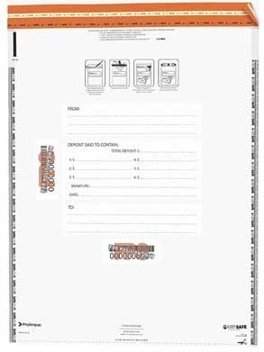 ProAmpac White/Gray Vault Bundle Federal Compliant Bag, 15 x 20 inch -- 250 per case