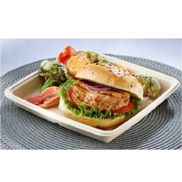 Sabert Natural Pulp Square Container, 32 Ounce Capacity -- 300 per case.