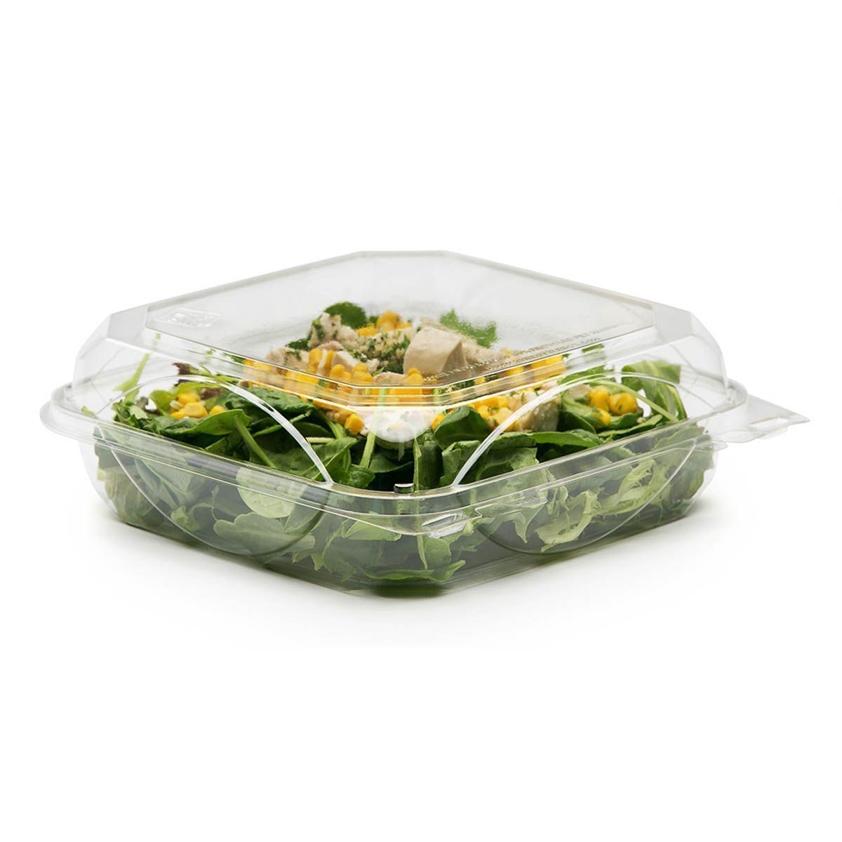 The BottleBox Recycled PET Clear One Piece Hinged Container, 9.38 x 8.75 x 3.03 inch -- 200 per case.