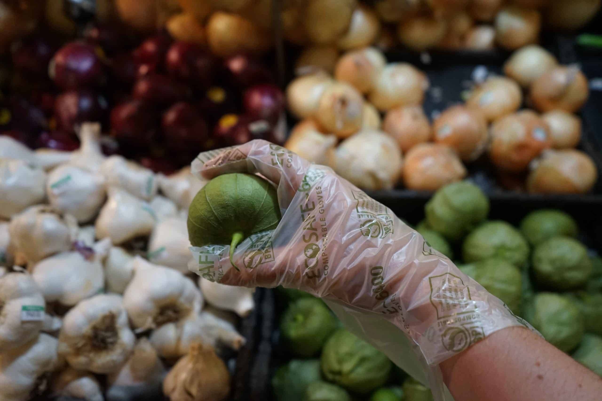 EcoSafe PLA 0.7 Mil Small Green Food Prep Compostable Gloves -- 800 per case
