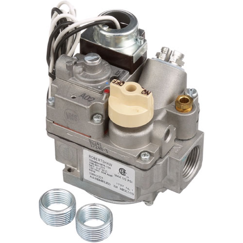 Anets ANEP5045651 120 Volt Natural Gas Combination Safety Valve