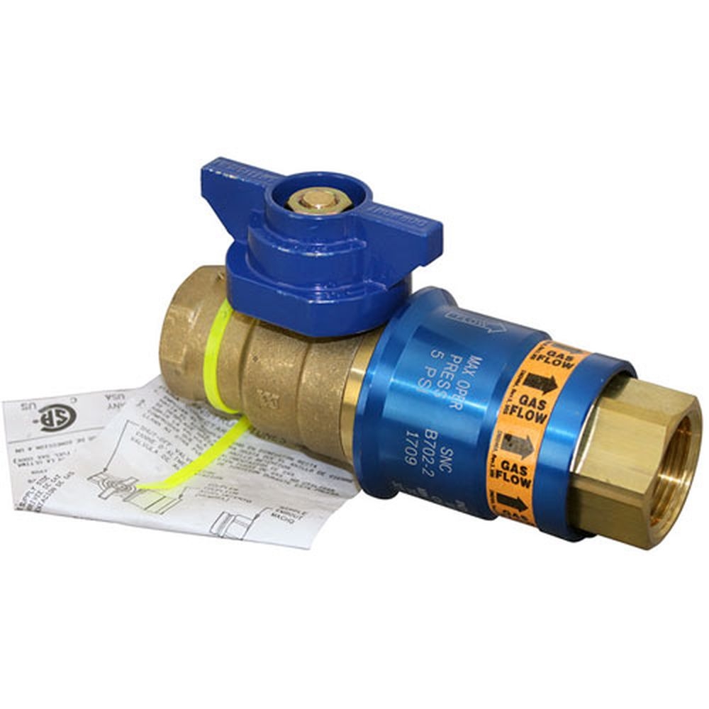 Dormont DORCF-100 Cimfast Safety Quik Valve with 1 inch Quick Disconnect