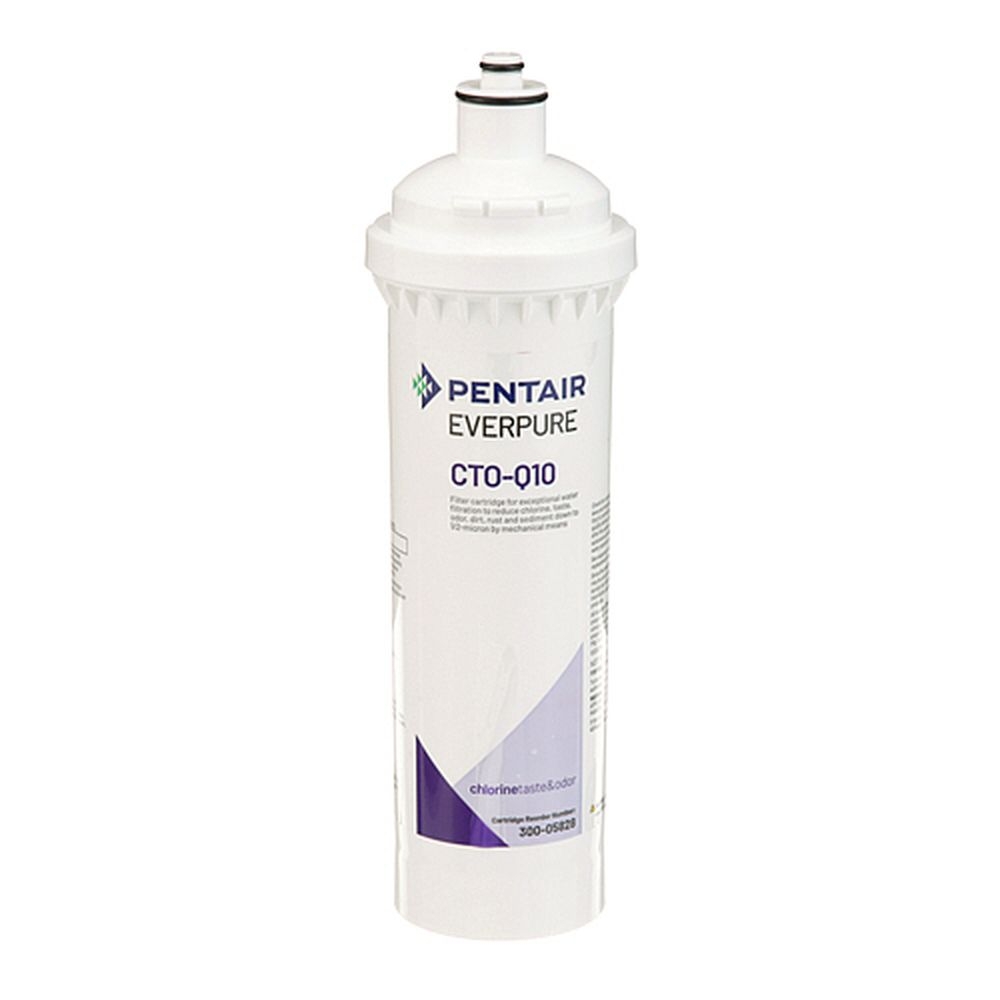 Everpure EVE300-05828 Optipure CTO-Q10 Water Filter Cartridge