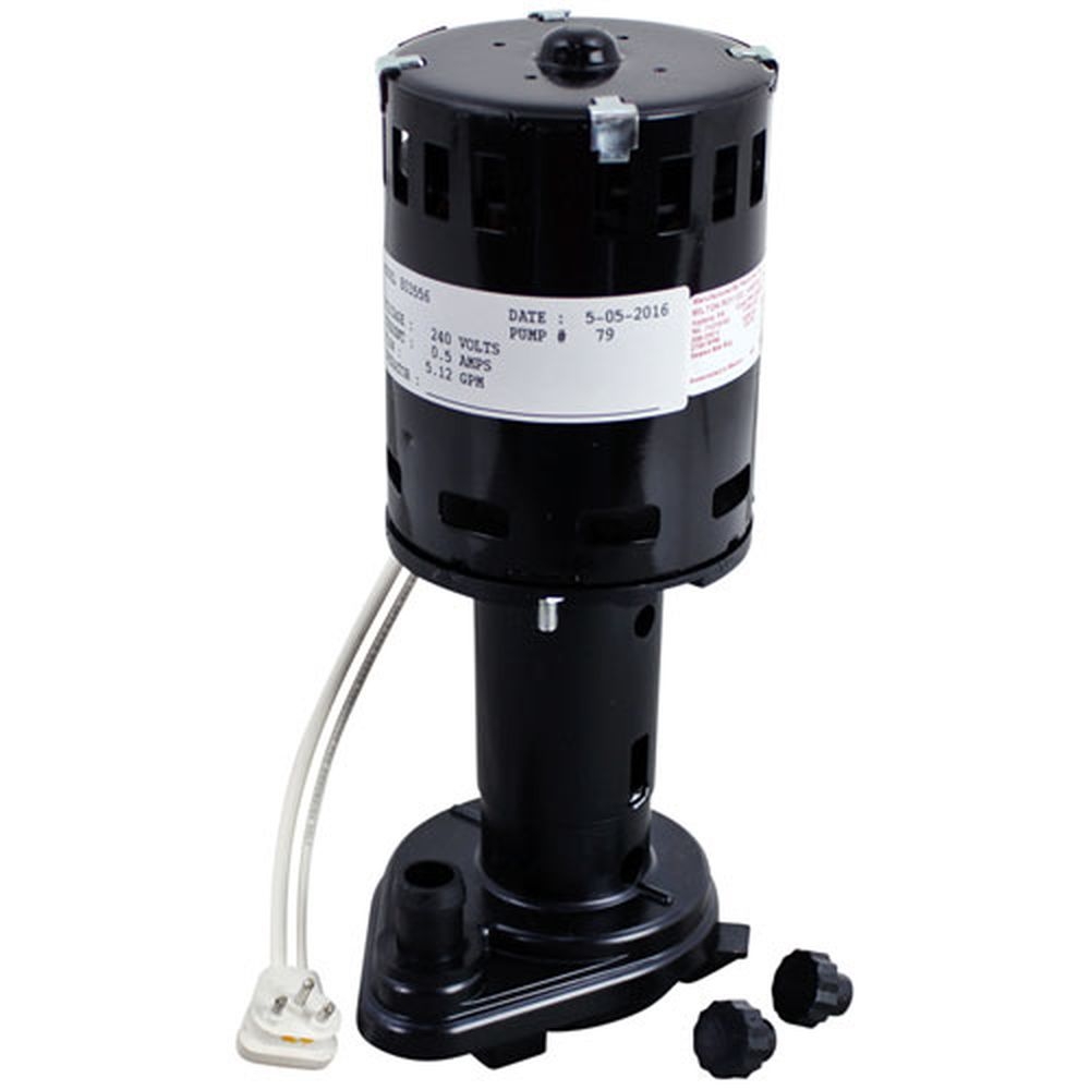 Ice-O-Matic ICO9161079-06 240 Volt Water Pump