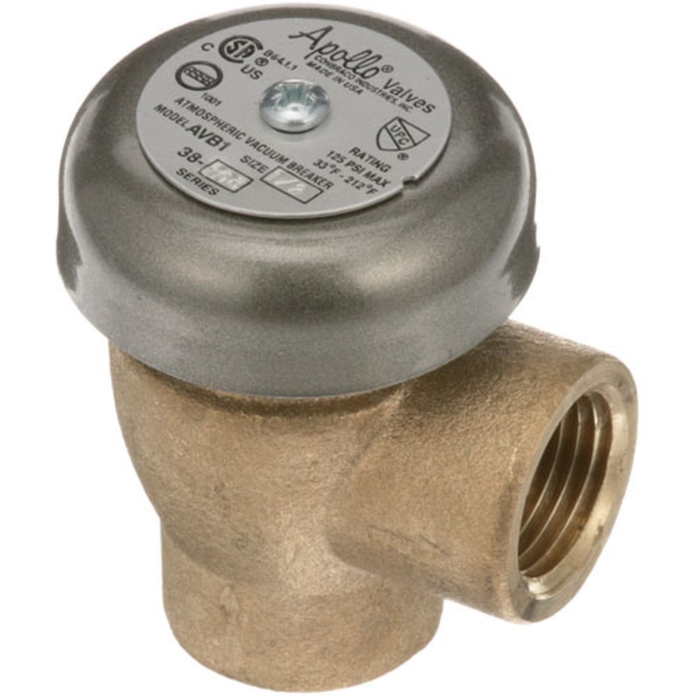 Insinger ISGD2241 1/2 inch Fpt Brass Vacuum Breaker