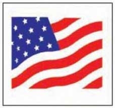 Kari Out Fresh Napkin American Flag Print Moist Towelette, 6.5 x 4.75 inch - 100 count per pack -- 10 packs per case