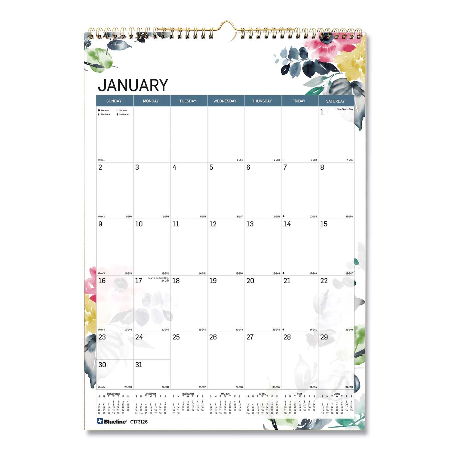 Blueline Watercolor Floral Artwork 12 Month Colorful Wall Calendar, 12 x 17 inch