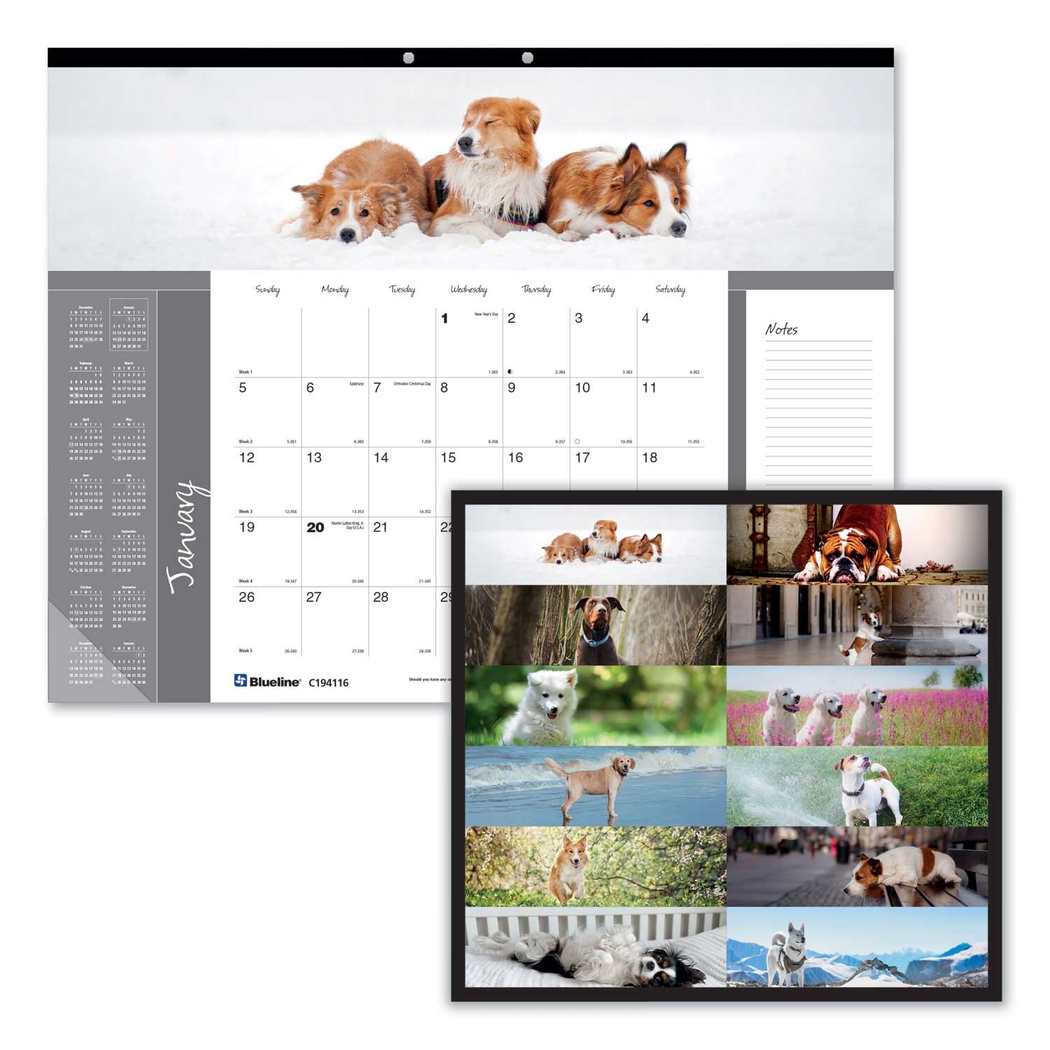 Blueline Pets Collection Puppies 2021 Monthly Desk Pad Calendar, 22 x 17 inch