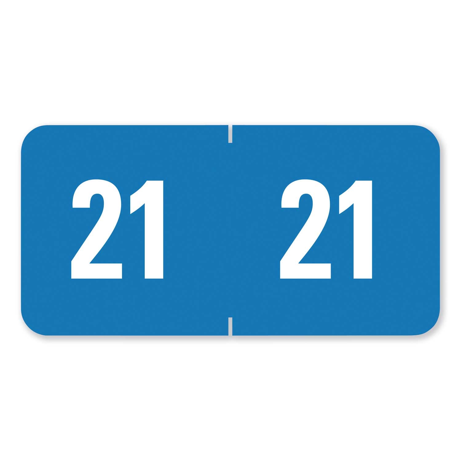 Smead Light Blue White Year 2021 End Tab Folder Label, 1 x 0.5 inch - 250 count per pack -- 1 pack per case