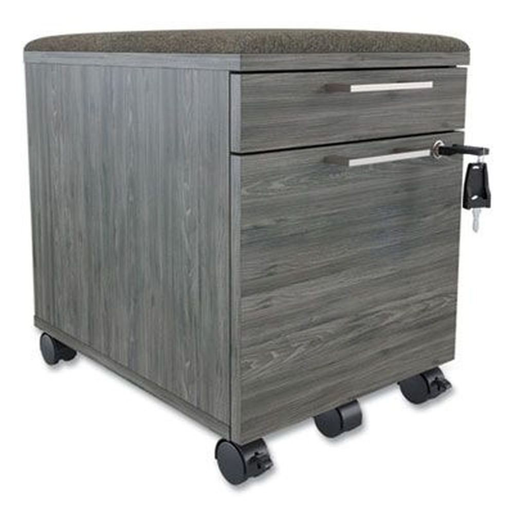 Union and Scale Gray 2 Drawer Prestige Mobile Pedestal File Cabinet, 15.6 x 21 x 20.7 inch