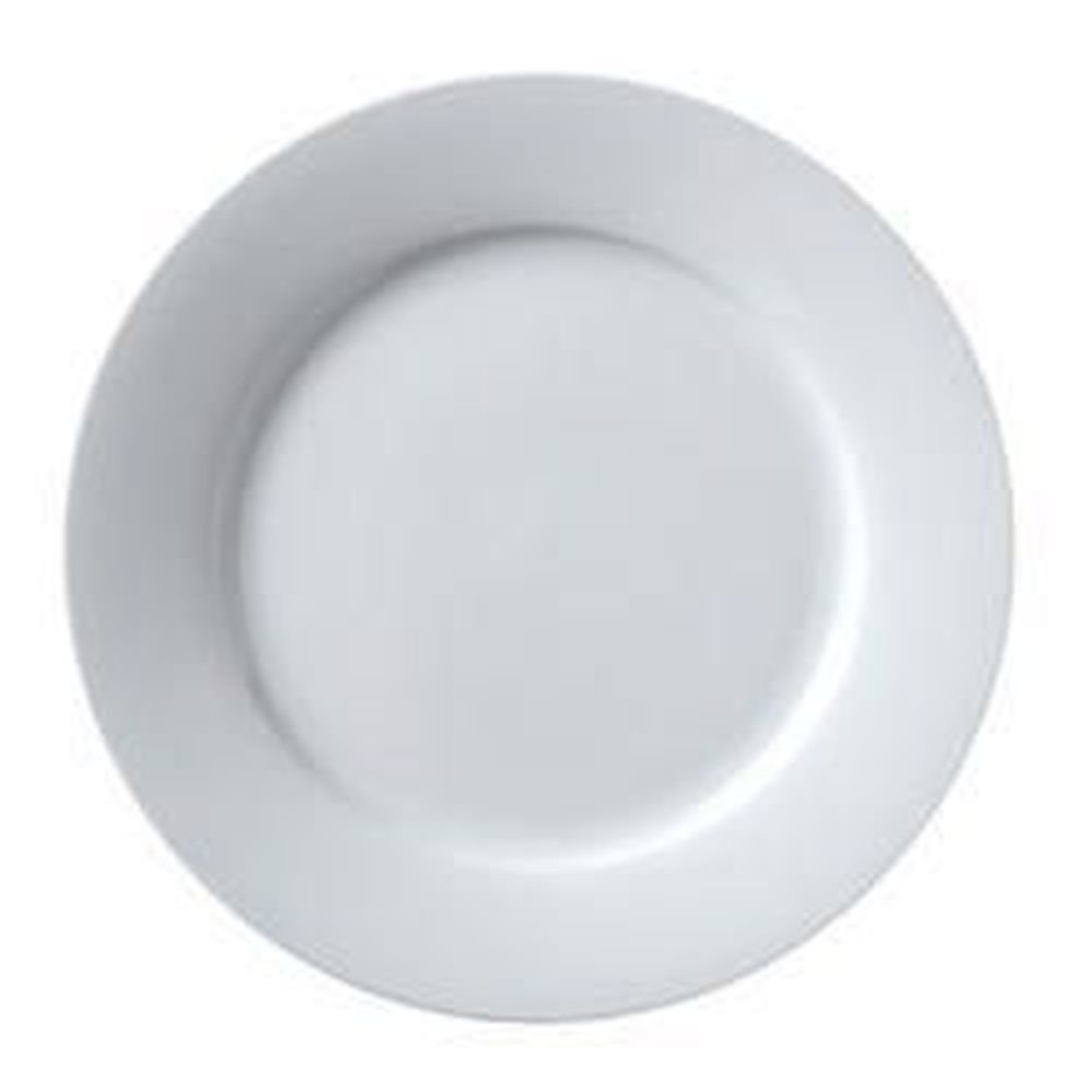 Porcelain White 9 3/4 inch Wide Rim Plate