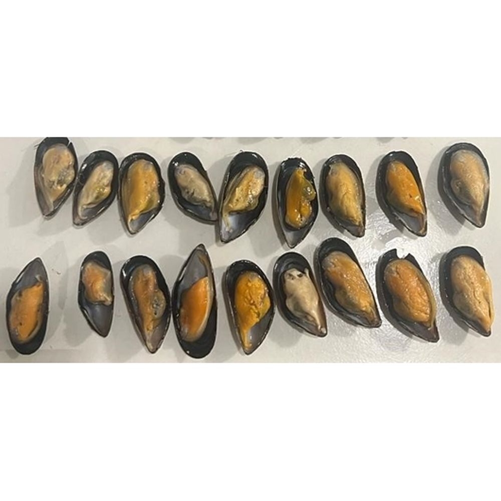 Cooked Half Shell Mussels