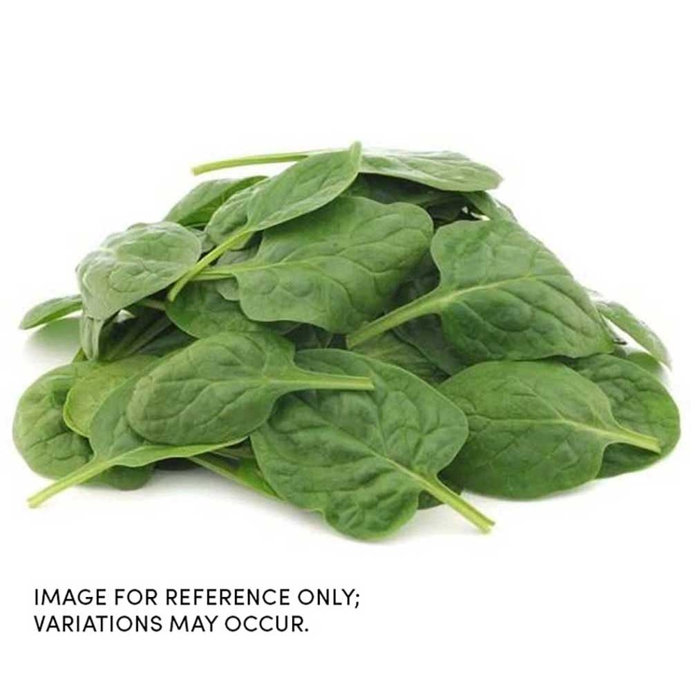 Commodity Canned Fruit and Vegetables Spinach Leaf, 10 Pound -- 6 per case