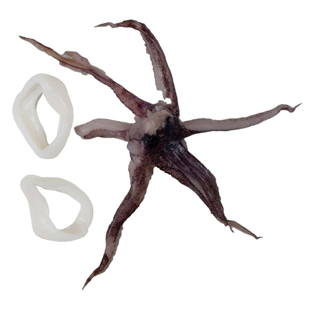 Point Judith Calamari Rings and Tentacles - Portion Pack