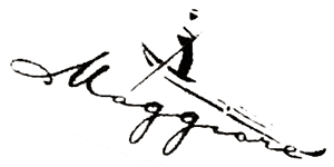 brand-image