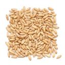 Grain Millers Organic Hulled Oat Groats, 25 Pound