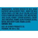 Graduates Yogurt Melt Mixed Berry Fruit and Yogurt Snacks, 1 Ounce -- 7 per case.