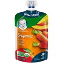 Gerber 2nd Foods Organic Carrot Apples and Mangoes Baby Food, 3.5 Ounce -- 12 per case.