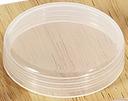 GET Enterprises Polypropylene Clear Storage Lid Only -- 12 per case