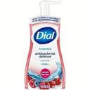Dial Power Berriest Antibacterial Foaming Hand Wash, 10 Ounce -- 8 per case.
