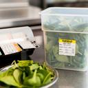 National Checking DateIt Item Date Use By Tuesday Removable Food Safety Label Roll, 500 count per roll.