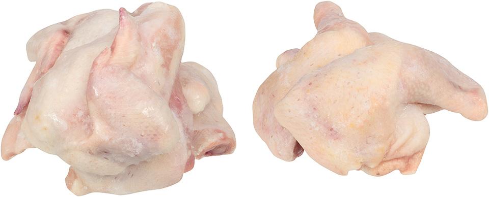 Product gallery 1170579