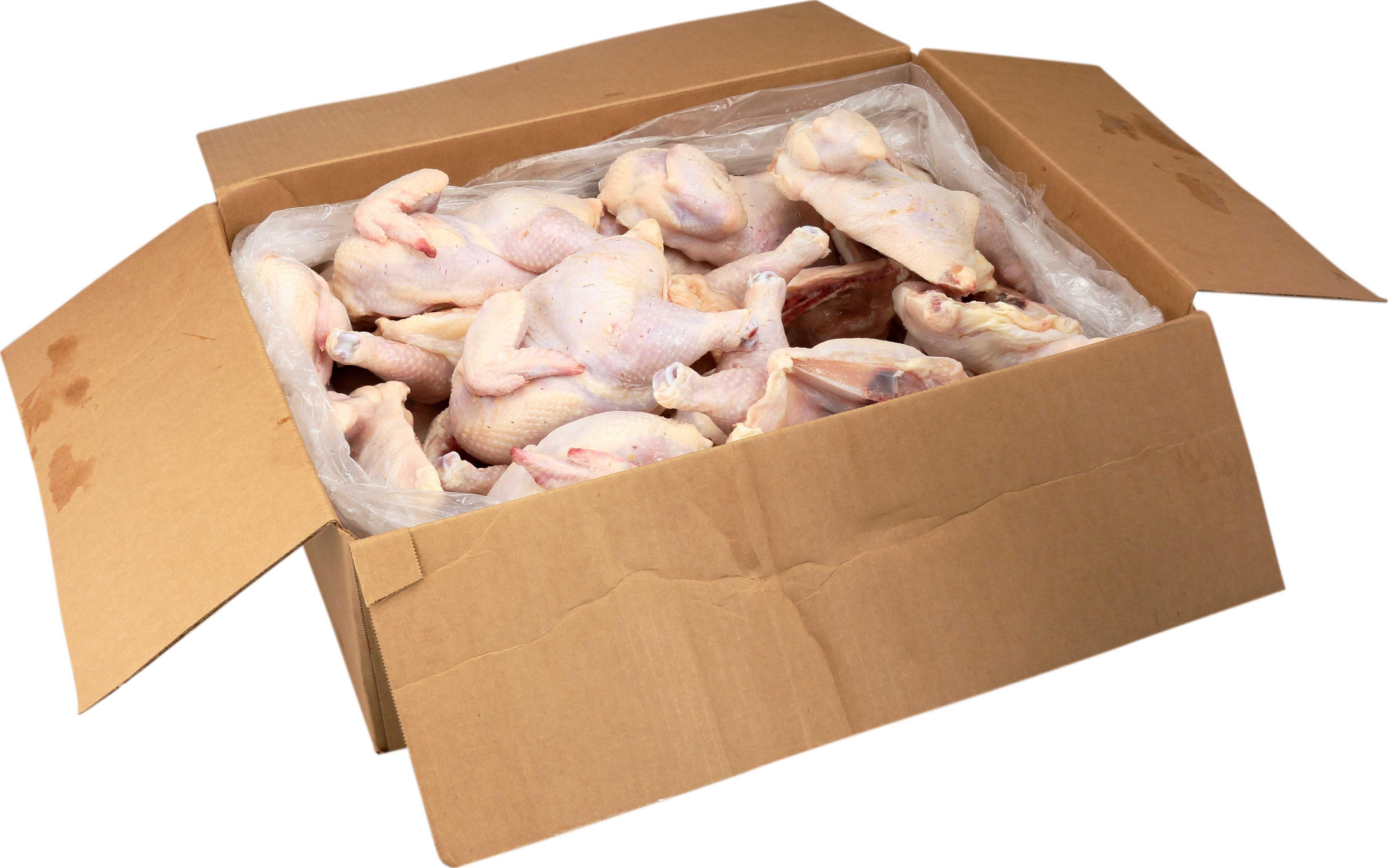 Product gallery 1170588