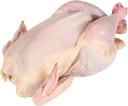 Tyson Whole Cornish Hen without Giblets, 19 Ounce -- 24 per case.