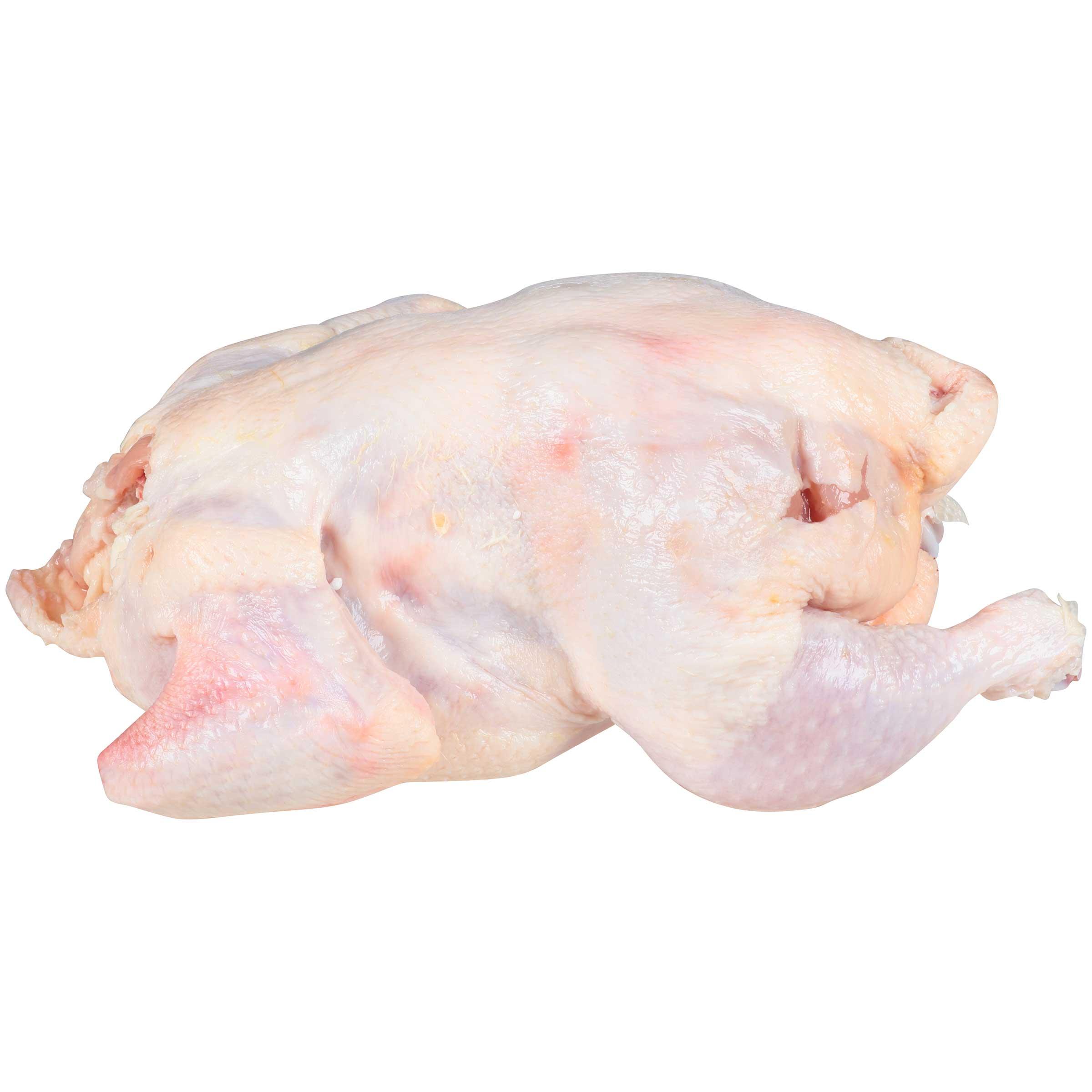 Product gallery 1170663