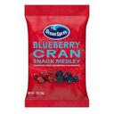 Ocean Spray Blueberry Cranberry Snack Medley, 1 Ounce -- 50 per case