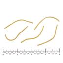 Costa 1/16 inch Wide Egg Noodle, 10 Pound.