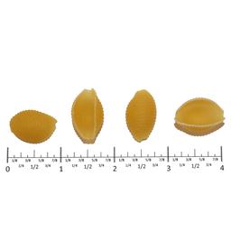Product thumb gallery 1722913