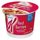 Kelloggs Special K Red Berries Cereal, 2.5 Ounce -- 12 per case