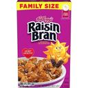 Kelloggs Original Raisin Bran Cereal, 22.1 Ounce -- 18 per case
