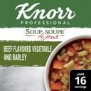 Single Knorr Professional Soup du Jour Beef Vegetable and Barley Soup Mix, 13.9 Ounce