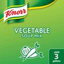 Single Knorr Professional Soup Mix Vegetable, 19.01 Ounce