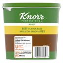 Single Knorr Professional Select Beef Stock Base, 1.99 Pound