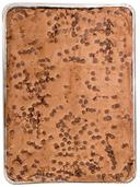 Davids Uncut Chocolate Chip Brownie, 12 Pound -- 2 per case