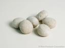 Rich Products Wheat Dinner Roll Dough, 1.25 Ounce -- 240 per case.