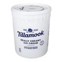 Tillamook Campfire Peanut Butter Cup Ice Cream, 3 Gallon