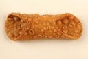 Seviroli Foods Small Plain Cannoli Shell, 0.4 Ounce -- 72 per case