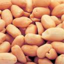 Azar Nut Dry Roasted Blanched Peanut, 25 Pound.