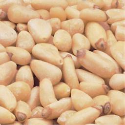 Product thumb gallery 1355856