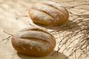 Gonnella Telera Roll Dough, 4 Ounce -- 108 per case.