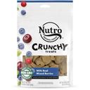 Natural Choice Real Mixed Berry Crunchy Treat for Dogs, 10 Ounce -- 6 per case