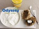 Odyssey 10 Percent Plain Greek Yogurt, 45 Pound