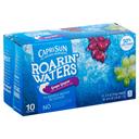 Capri Sun Roarin Waters Grape, 6 Fluid Ounce -- 40 per case